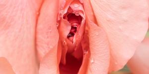 What is the Hymen For? - Hymen Purpose