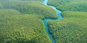 Why Do some Rivers Flow faster than Others