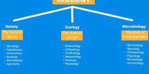 What Are The Main Branches Of Biology And What Do They Study?