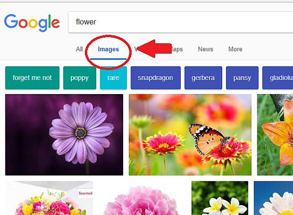 How To Save A Picture From Google Images - Copying and saving images from internet on your device