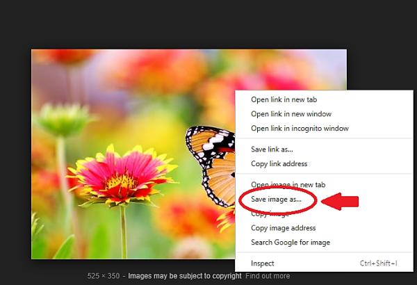 How To Save A Picture From Google Images - Saving Google images on an Android device
