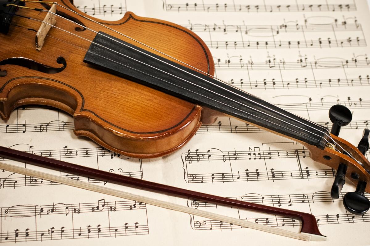 What is the Difference Between a Violin and a Viola