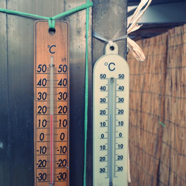 How to Check the Humidity Level in Your House