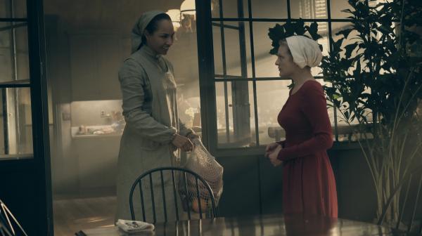 DIY Handmaid's Tale Costume for Halloween - Martha costume
