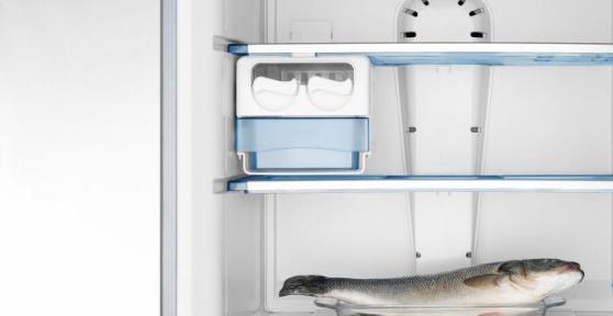 How to Get Rid of Bad Smells from your Freezer